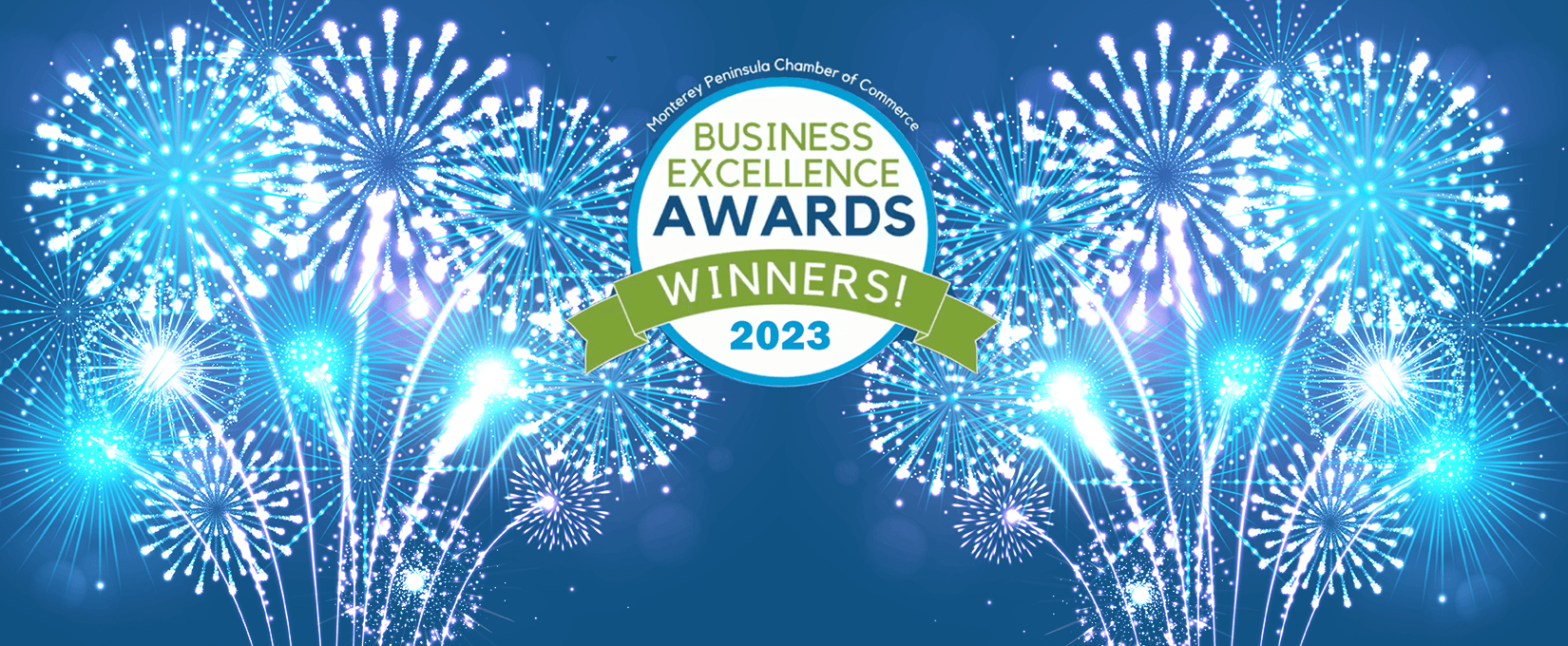 Business Excellence Award 2023