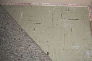Carpet Damage Cleanup