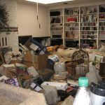 Hoarder Clean Up