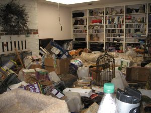 Hoarder Clean Up