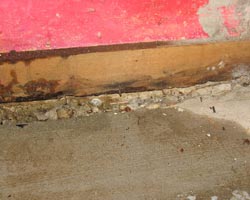 Basement Waterproofing Monterey