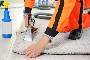 Carpet Cleaning