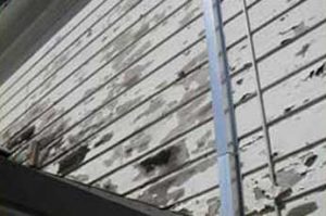 Lead Abatement