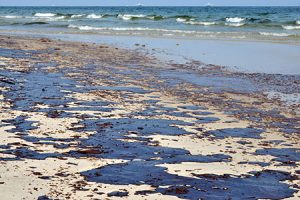 oil-spill-cleanup
