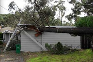 Wind & Storm Damage Repair