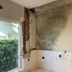 Mold behind cabinet