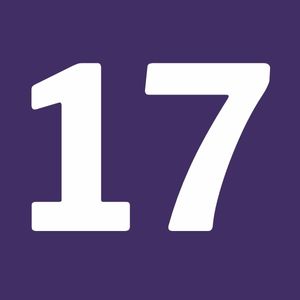 17 in purple box