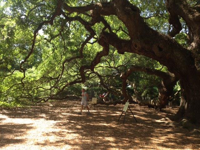 THE SPIRITUAL RENEGADES GROUP photo with trees