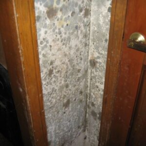 Mold Abatement California