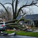 What is Wind Damage?
