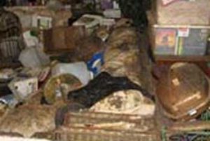Animal Waste Removal
