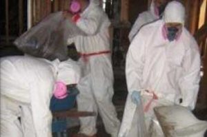 Asbestos Abatement