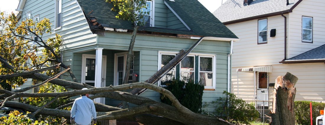 Damaged House from Tree