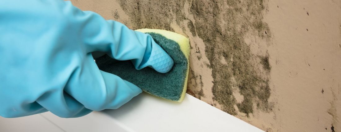 Commercial Mold Remediation