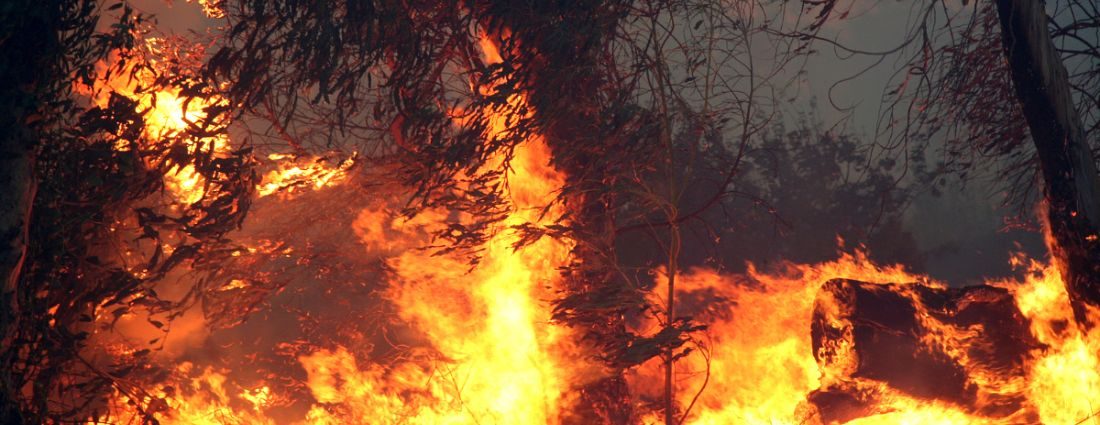 California Wildfire Prep