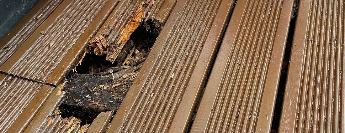 Dry Rot Inspection Remediation