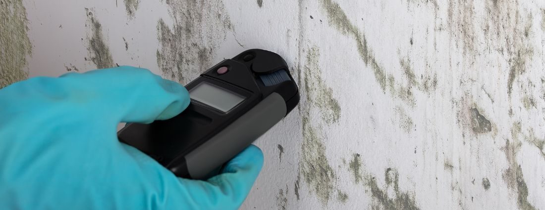 5 Reasons To Care About Mold Detection & Removal