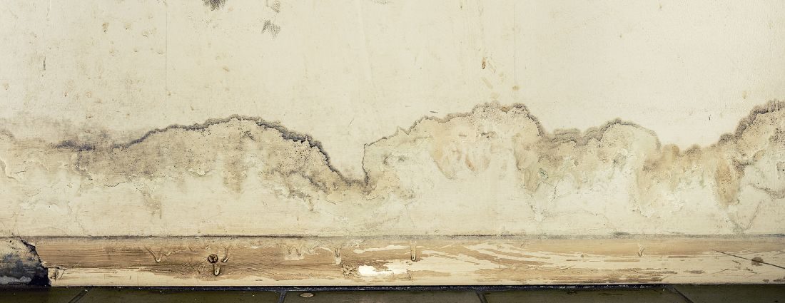 Should I Replace Moldy Drywall?