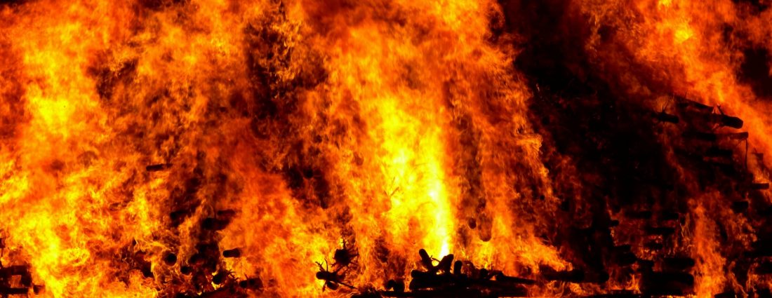 pexels-pixabay-57461