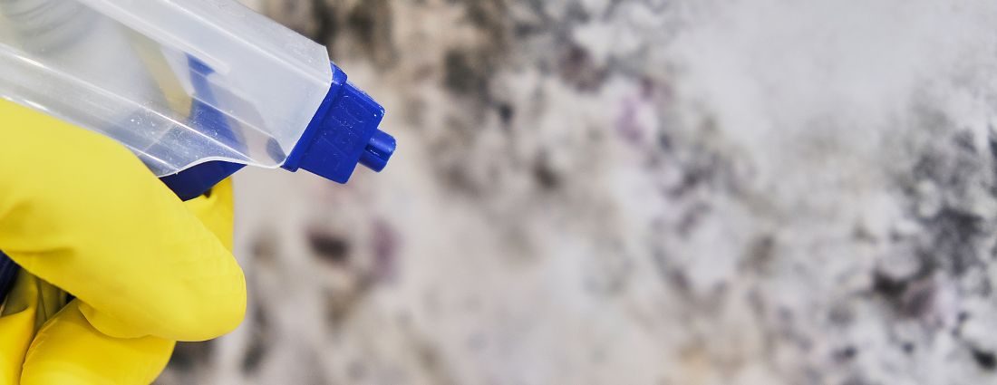 Spray Bottle & Mold