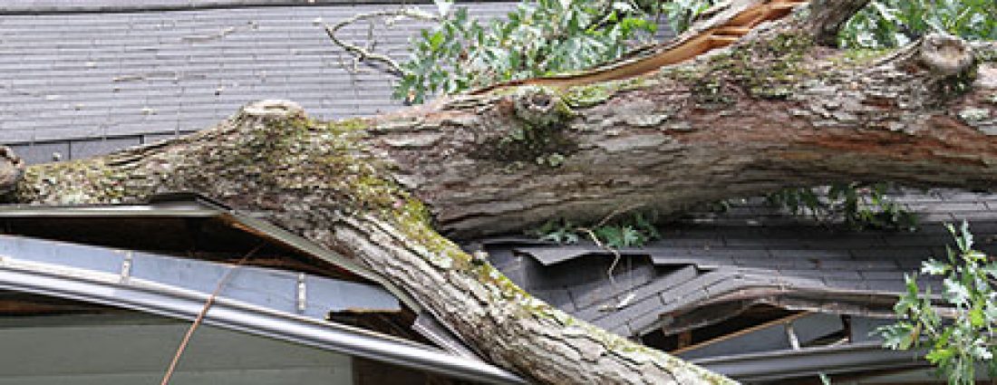 signs-of-wind-damage