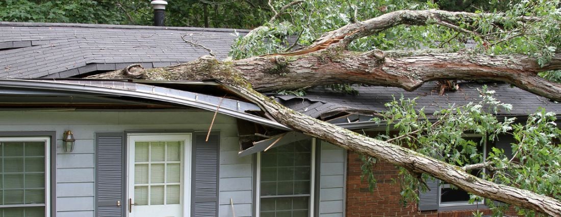 Wind Damage Prevention Checklist