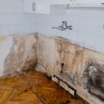 shutterstock 2501158965