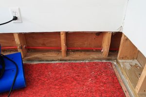 Structural Drying