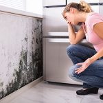 toxic mold