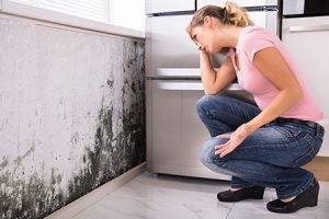Toxic Mold In Home